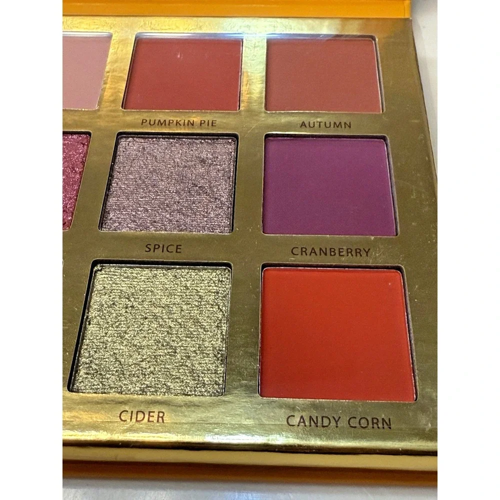 Ace Beaute' Falling for You Eyeshadow Palette Vibrant Colors 12 well